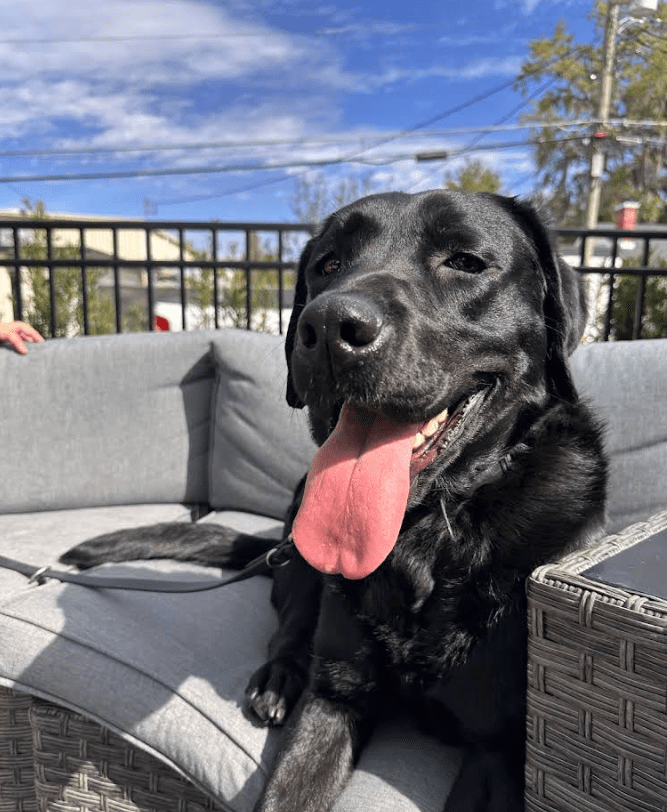 Screenshot 2025-10-24 194558