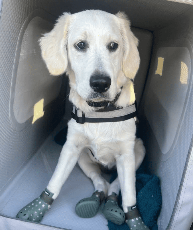 Screenshot 2025-10-24 194611