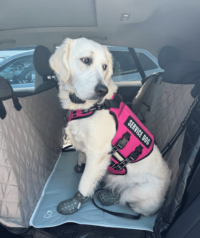 Screenshot 2025-10-24 194619