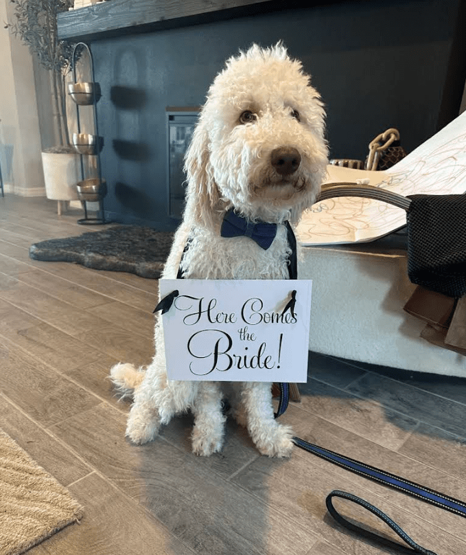 Screenshot 2025-10-24 194948